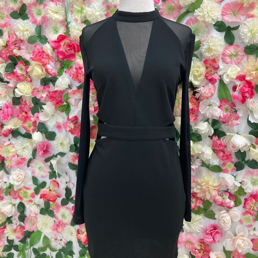 Sheer Long Sleeve Dress